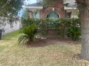 Bush Trimming by Rene Contreras for Andrew S. in Richmond, TX