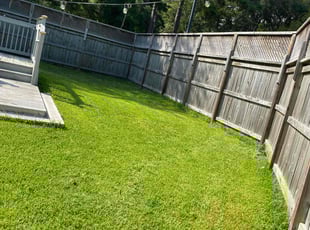 Nikieta M.'s Lawn Maintenance service result
