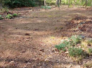 Leaf Removal by Montgomery Roberts for Matt M. in Woodstock, GA