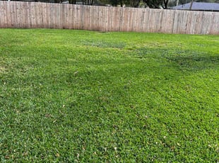 Stephanie L.'s Lawn Service service result
