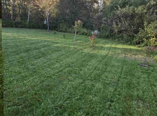 Quincy J.'s Lawn Mowing service result