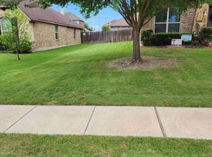 Michael G.'s Grass Cutting service result
