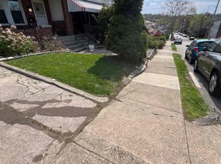 edith y.'s Lawn Care service result