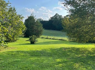 Sonia D.'s Lawn Care service result