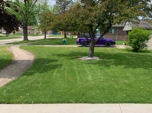 Courtney S.'s Lawn Service service result