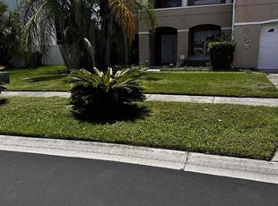 Abby M.'s Lawn Care service result