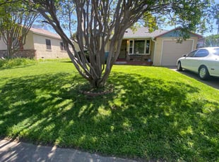 Michele N.'s Lawn Care service result