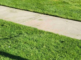 Lamar C.'s Lawn Mowing service result