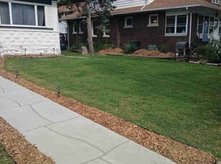 Denise T.'s Lawn Service service result