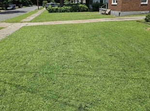 Jordan P.'s Grass Cutting service result