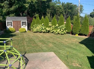 Theresa C.'s Lawn Mowing service result