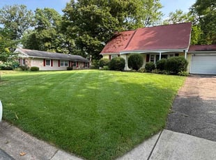 Joe L.'s Yard Cutting service result