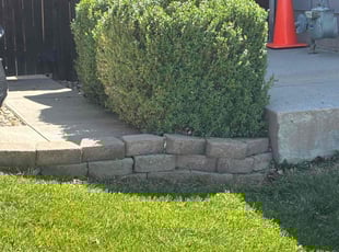 Bush Trimming by William Bonavida for Nimesh K. in Thornton, CO