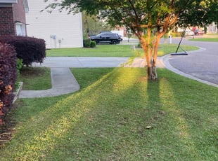 Valerie S.'s Lawn Service service result