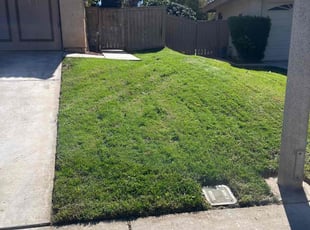 Shaun G.'s Yard Cutting service result