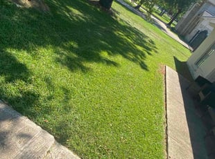 Jarrett W.'s Grass Cutting service result