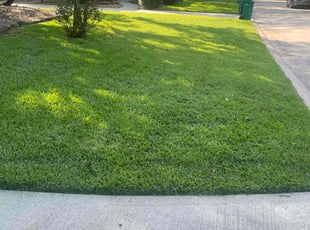 Kyle B.'s Yard Cutting service result