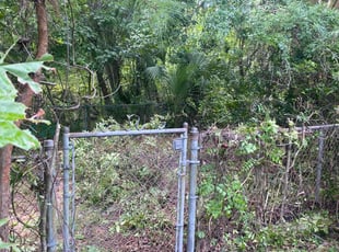 Bush Trimming by Yard Transformers for Suzanne P. in Charleston, SC