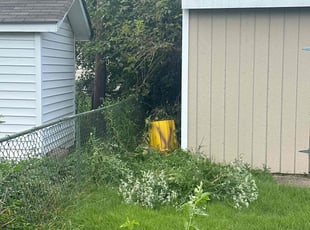 Bush Trimming by Pedro Benitez Amaya for Darcy M. in Glen Burnie, MD