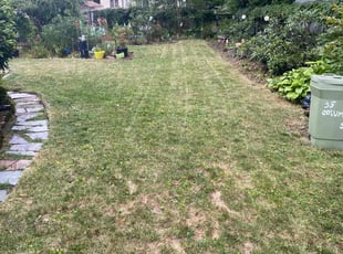 Steven P.'s Yard Cutting service result