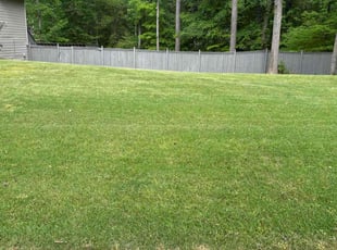 Sharon P.'s Lawn Service service result