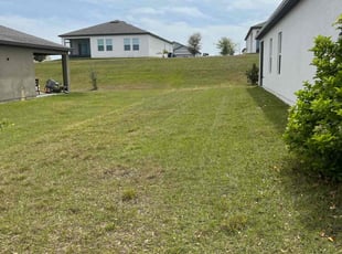 Karen R.'s Lawn Mowing service result