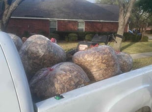 Leaf Removal by Rene Contreras for Valerie P. in Missouri City, TX