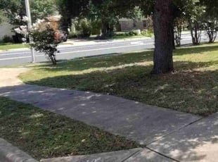 carrie d.'s Lawn Mowing service result