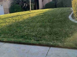 Yusuf H.'s Lawn Service service result