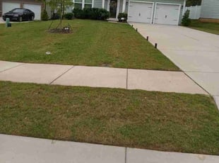Randy W.'s Lawn Care service result