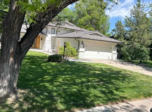 Joyce S.'s Yard Cutting service result