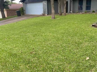 Travis w.'s Grass Cutting service result