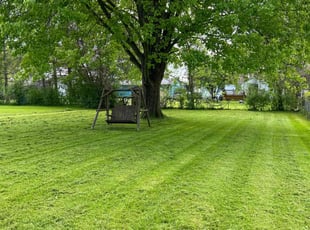 Cosette B.'s Lawn Service service result