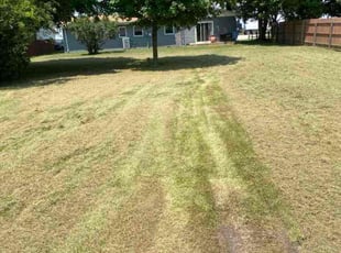 Charlie L.'s Lawn Mowing Service service result