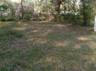 Cleanups by Randy Beasley for Angela S. in Winter Haven, FL