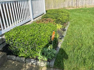 Carla j.'s Bush Trimming service result