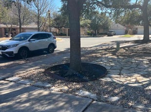 Leaf Removal by Noah Fiechtner for Gaynelle J. in Austin, TX