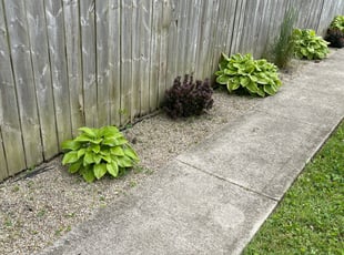Weeding by Michael Sutton for Rachel M. in Columbus, OH