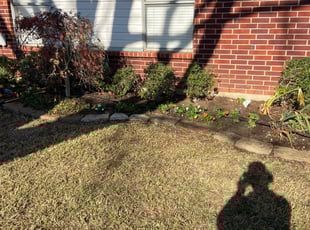 Bush Trimming by Nelson Rhoades for Donna W. in Haltom City, TX