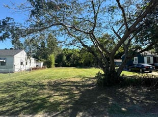 Letitia C.'s Lawn Service service result