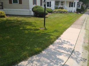Anthony M.'s Lawn Service service result