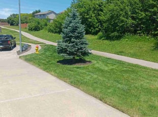 Robert R.'s Lawn Care service result