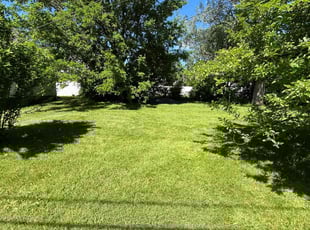 Robert C.'s Lawn Mowing service result