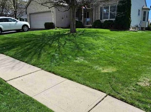 Kevin B.'s Yard Cutting service result