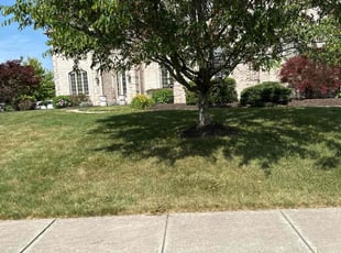 Bush Trimming by Luis Contreras for Jim H. in Fortville, IN