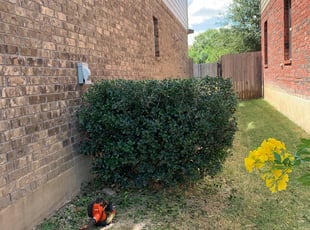 Bush Trimming by Noe Perez for Nick L. in San Antonio, TX