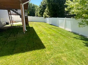 Nick T.'s Lawn Mowing service result