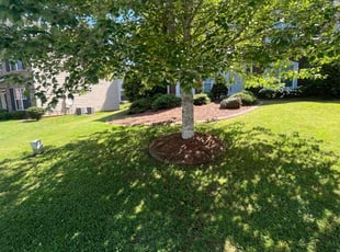 Brock M.'s Grass Cutting service result