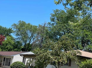 Bush Trimming by Dave Ehrenberg for Brian M. in Columbus, OH