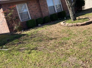 Cleanups by Noe Montiel for Xavier J. in Lancaster, TX